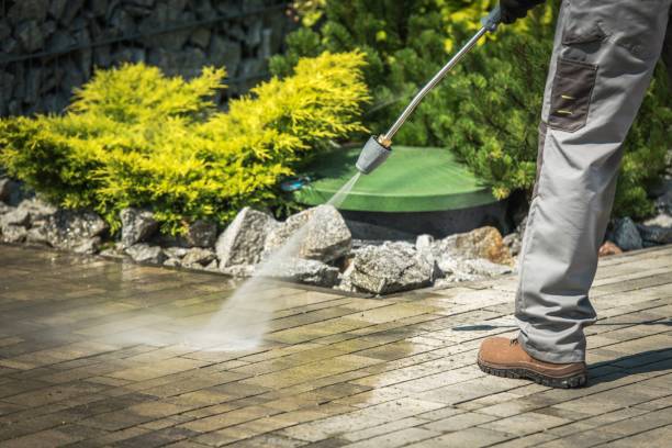 Best Dumpster Area Cleaning  in Lake Vla, IL