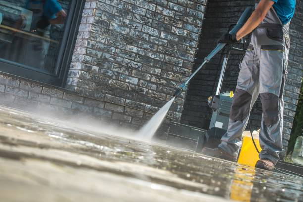 Best Boat and Dock Cleaning  in Lake Vla, IL