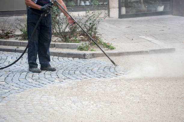 Best Gutter Cleaning  in Lake Vla, IL
