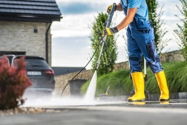 Best Sidewalk and Walkway Cleaning  in Lake Vla, IL